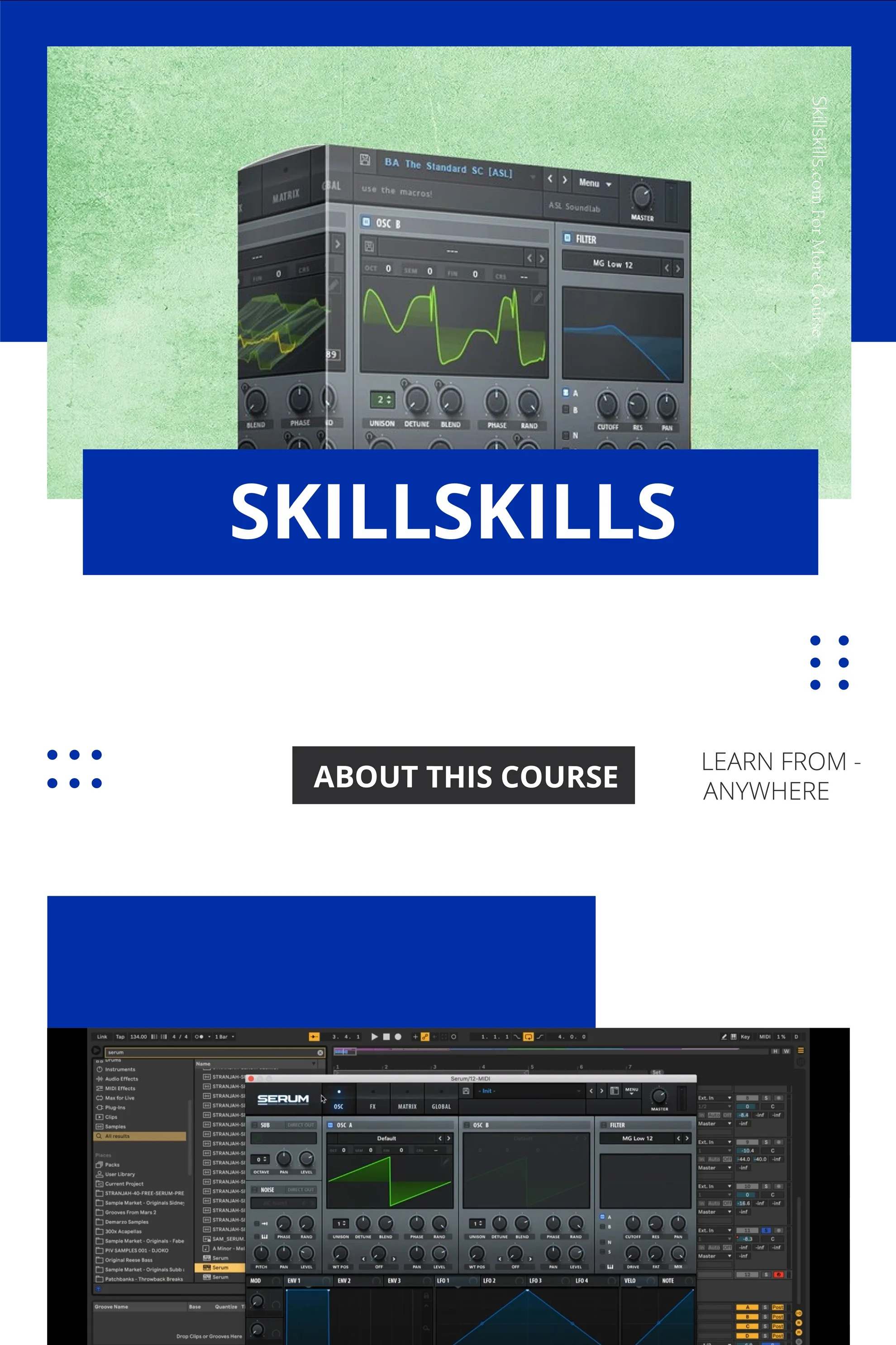 Udemy---Understanding-The-Basics-Of-Sound-Design---Serum_01